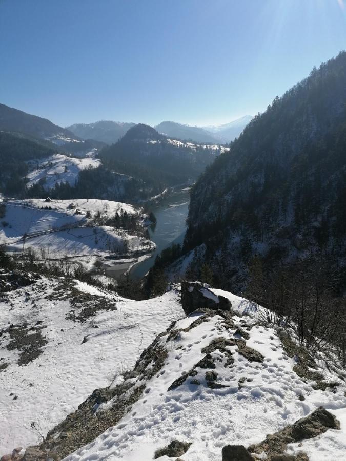 Vikendica Moonlight Case de vacanță Zaovine