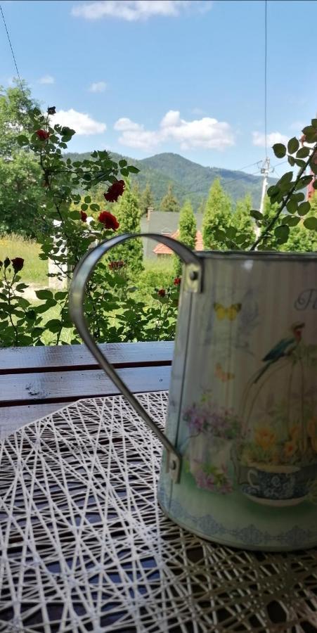 Vikendica Moonlight Case de vacanță Zaovine