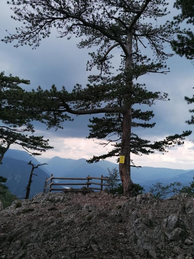 Vikendica Moonlight Case de vacanță *